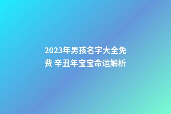 2023年男孩名字大全免费 辛丑年宝宝命运解析